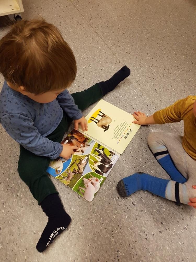 Ettåring leser dyrebok