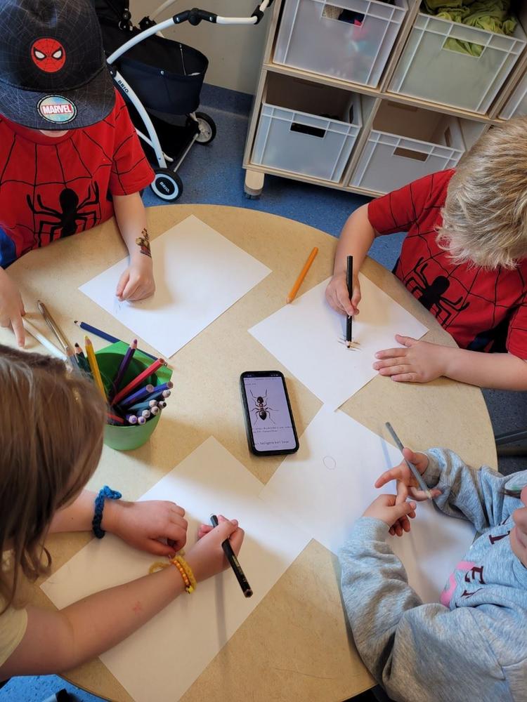 fire barn tegner maur, ser på bilde på mobiltelefon