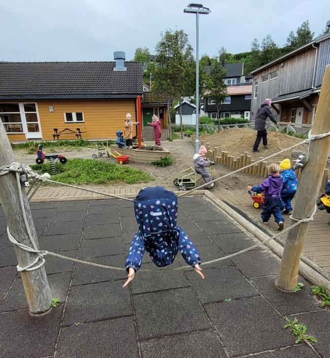 et barn klatrer i tau og henger opp ned